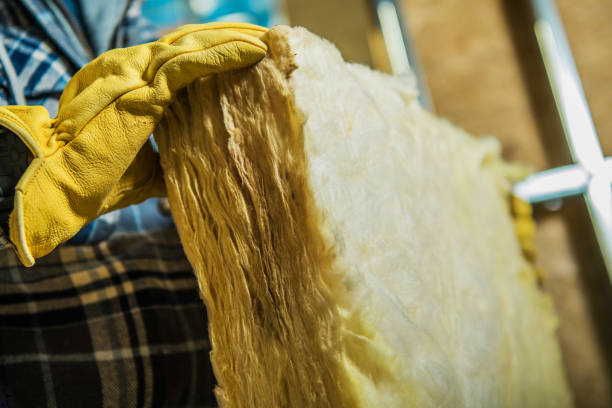 Best Eco-Friendly Insulation in Cedar Falls, IA