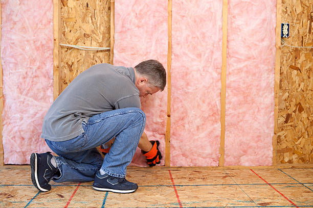 Best Insulation Maintenance and Repair in Cedar Falls, IA