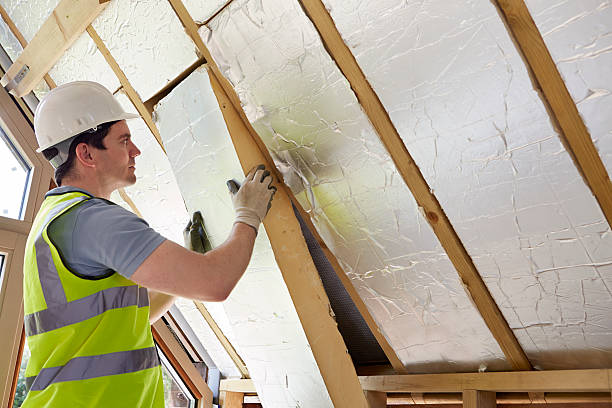 Best Specialized Insulation Services in Cedar Falls, IA